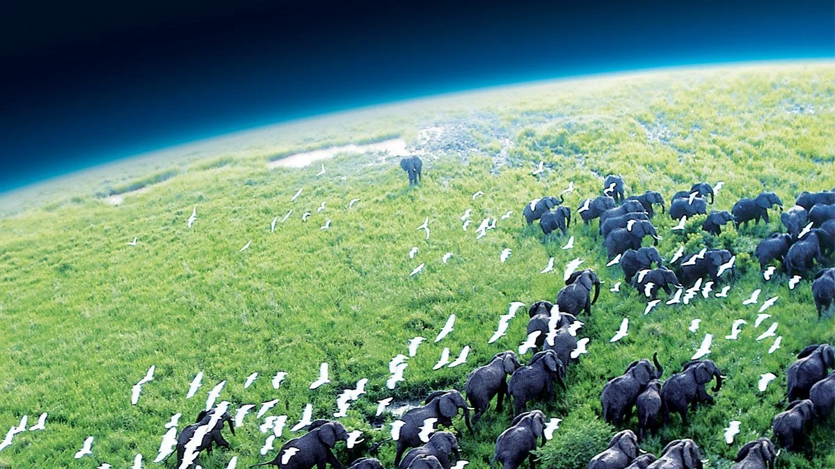 Dünya Gezegeni